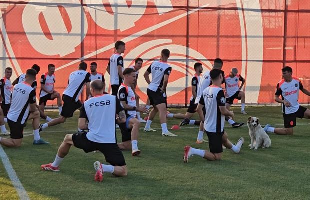Câinele, cel mai bun prieten al campionilor la Skopje! Jucătorii de la FCSB l-au adoptat și s-au antrenat cu patrupedul