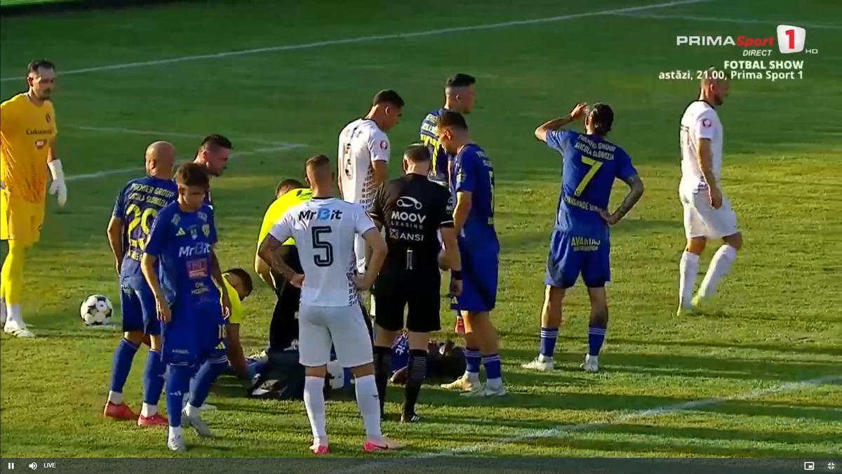Faultul lui Palmeș asupra lui Afalna