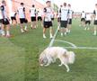 FCSB, antrenament înainte de meciul cu Shkendija // foto: Andrei Furnigă