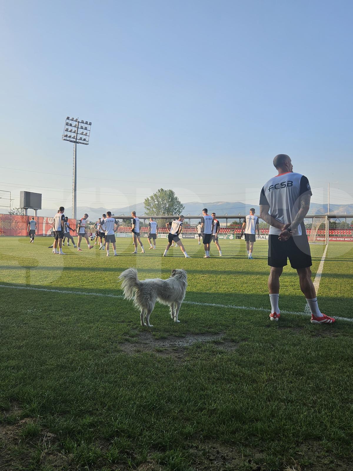 Dennis Politic, OUT din lot pentru Shkendija - FCSB + revenirea confirmată de Elias Charalambous în conferință
