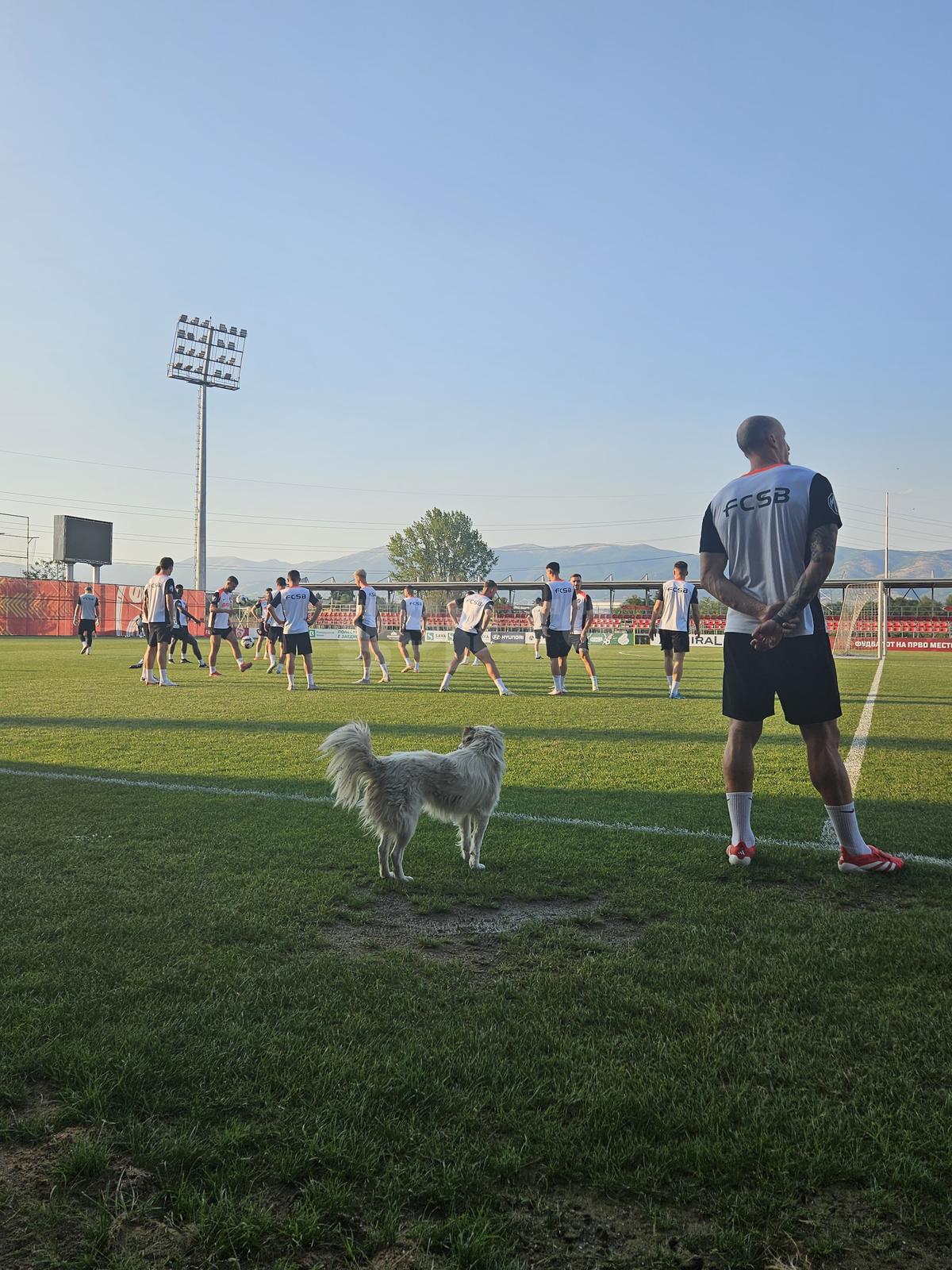 FCSB, antrenament înainte de meciul cu Shkendija // foto: Andrei Furnigă