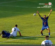 Faultul lui Palmeș asupra lui Afalna