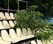 Cum arată stadionul din Slobozia în iulie 2025 / foto: Andrei Furnigă (GSP)