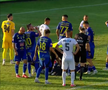 Faultul lui Palmeș asupra lui Afalna