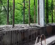 Cum arată bazinul de înot din Chernobyl, la 40 de ani distanță de la dezastru