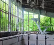 Cum arată bazinul de înot din Chernobyl, la 40 de ani distanță de la dezastru