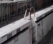 Cum arată bazinul de înot din Chernobyl, la 40 de ani distanță de la dezastru