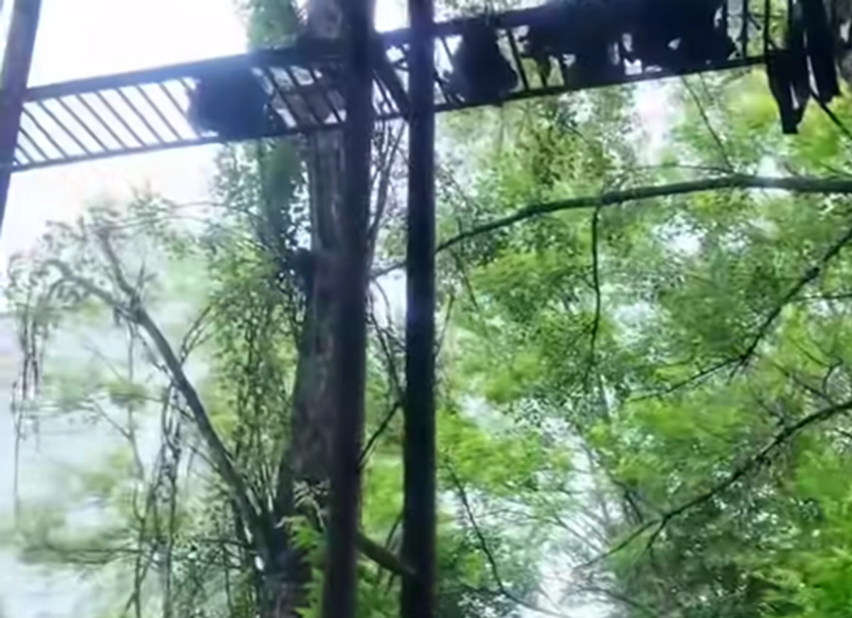 În iulie 2026, un vlogger a petrecut o zi la Cernobîl » Șocat de bazinul de înot al „orașului fantomă”