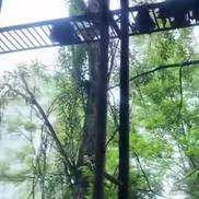 Cum arată bazinul de înot din Chernobyl, la 40 de ani distanță de la dezastru