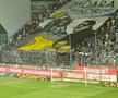 Scenografii la Petrolul - Rapid