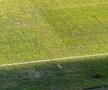 Imagini înainte de Petrolul - Rapid