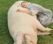 FOTO Iubita campionului de la US Open deține un porc de jumătate de tonă. Pozele sunt fabuloase