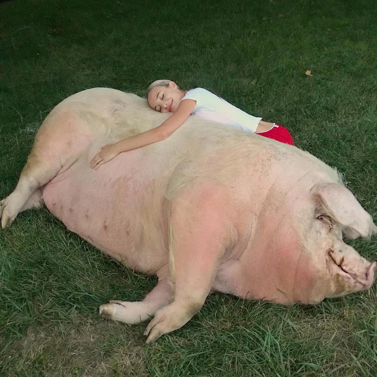 FOTO Iubita campionului de la US Open deține un porc de jumătate de tonă. Pozele sunt fabuloase