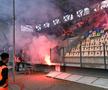 Petrolul Ploiești - FCU Craiova / Sursă foto: Raed Krishan (GSP)