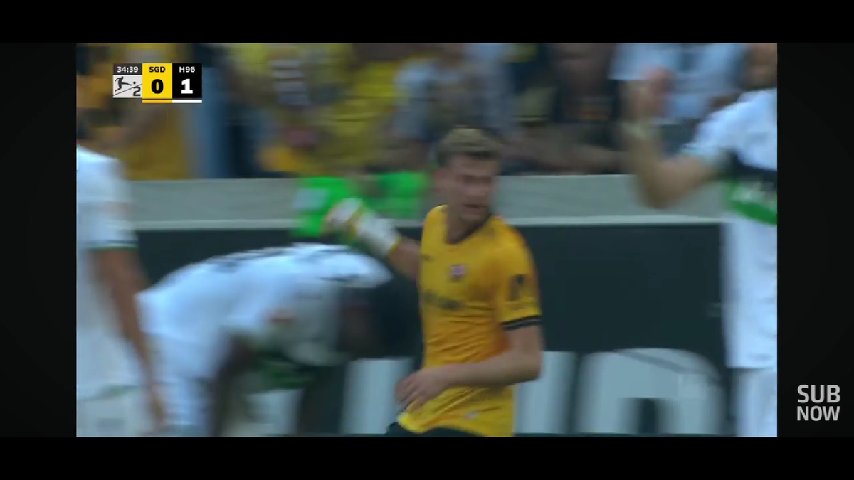 Virgil Ghiță și-a dat autogol în Germania