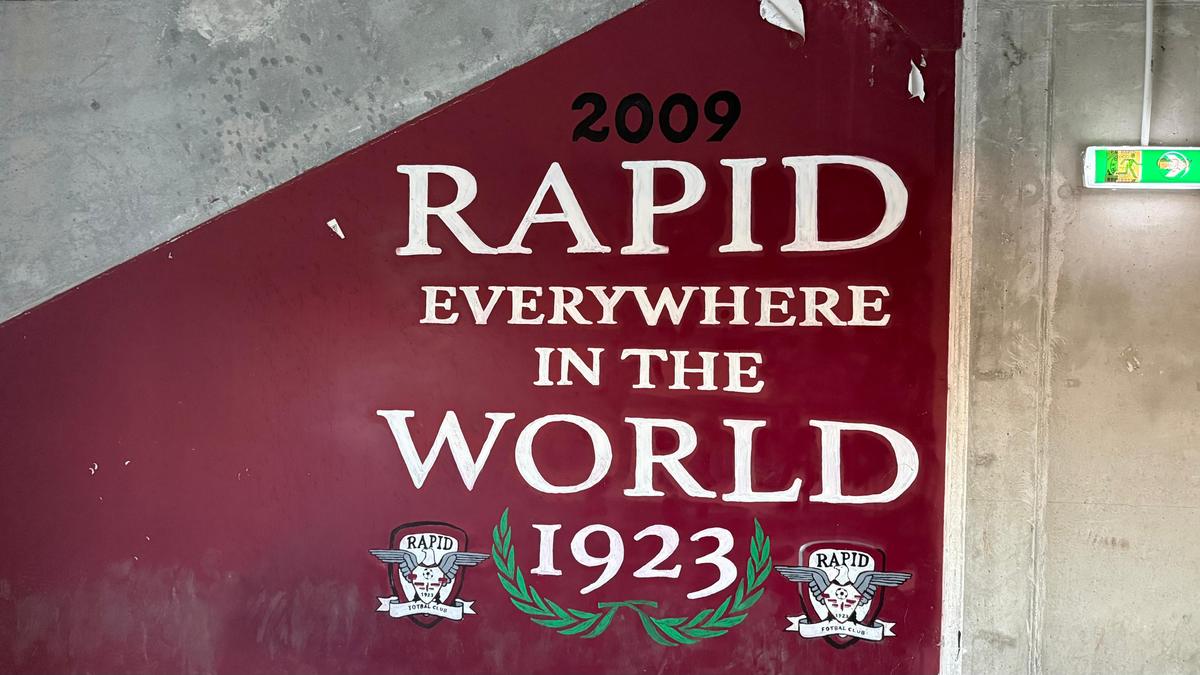 Desene brigăzi Rapid