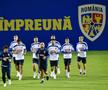 Antrenament echipa națională  // Foto: Cristi Preda (GSP)