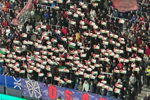 Suporterii Osasunei la meciul cu Granda