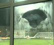 FOTO Botoșani - Craiova » Croitoru a spart geamul