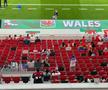 Trimișii GSP au fost pe stadion la SUA - Țara Galilor 1-1 » Cum s-a trăit primul egal de la Mondiale: golul salvator al lui Bale a declanșat nebunia în tribune