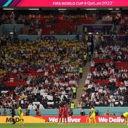 Imagine surprinsă în timpul meciului Qatar - Ecuador / Sursă foto: Guliver/Getty Images