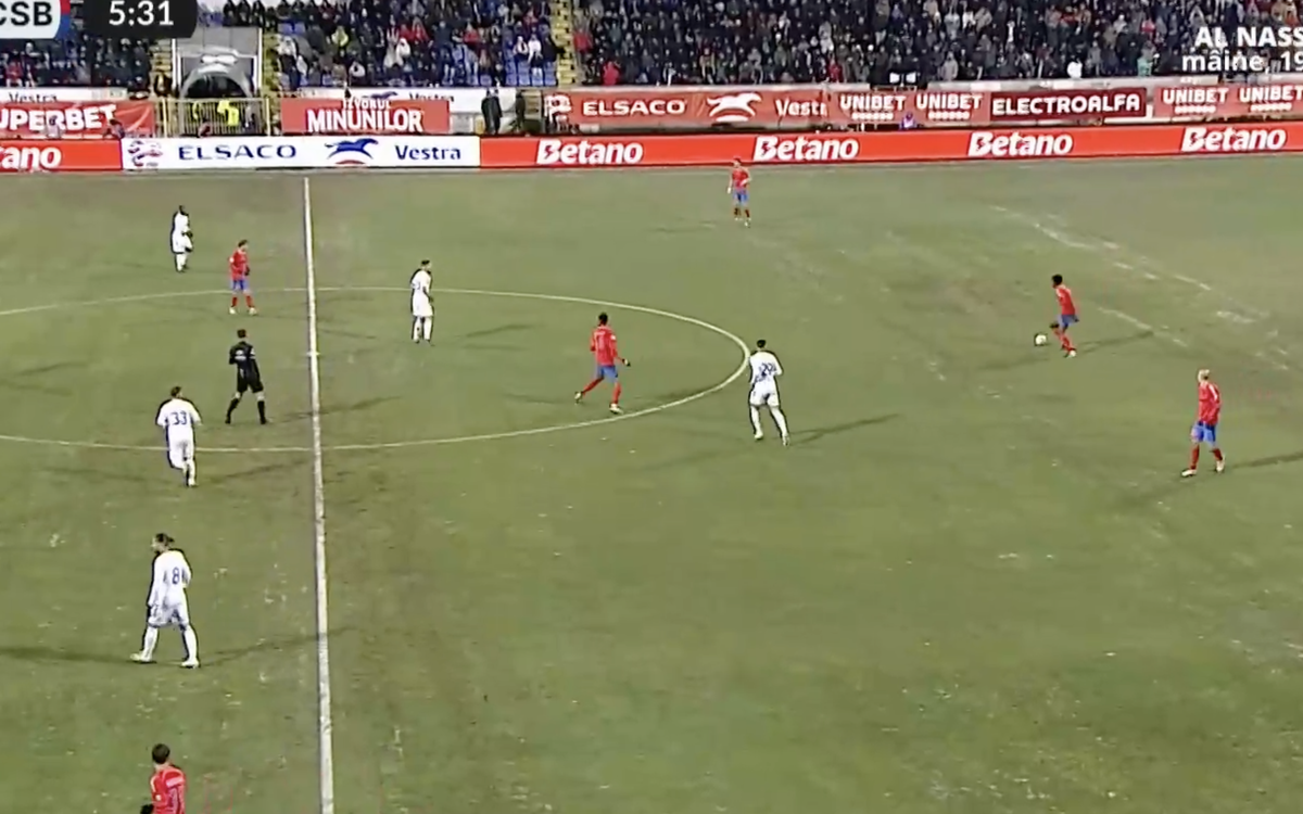 Gazonul de la Botoșani la meciul cu FCSB
