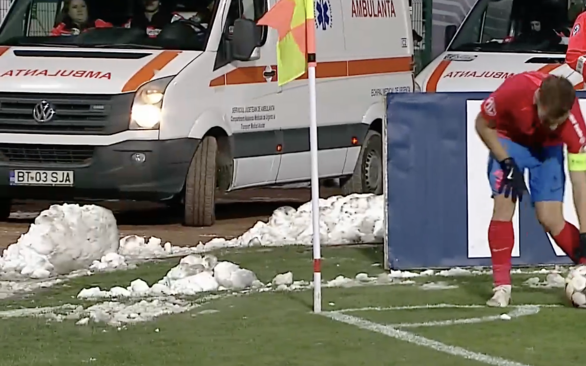 Gazonul de la Botoșani la meciul cu FCSB