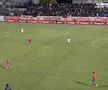 Gazonul de la Botoșani la meciul cu FCSB/ Foto: Captură Prima Sport