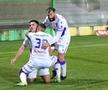 FC Argeș - Universitatea Craiova // FOTO: Andrei Furnigă (GSP.ro)