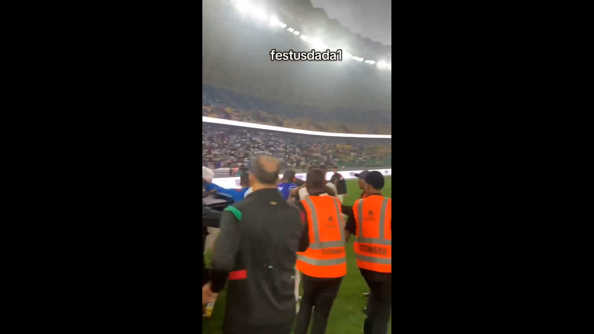 Scene incredibile la meciul lui Laurențiu Reghecampf