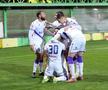 FC Argeș - Universitatea Craiova // FOTO: Andrei Furnigă (GSP.ro)