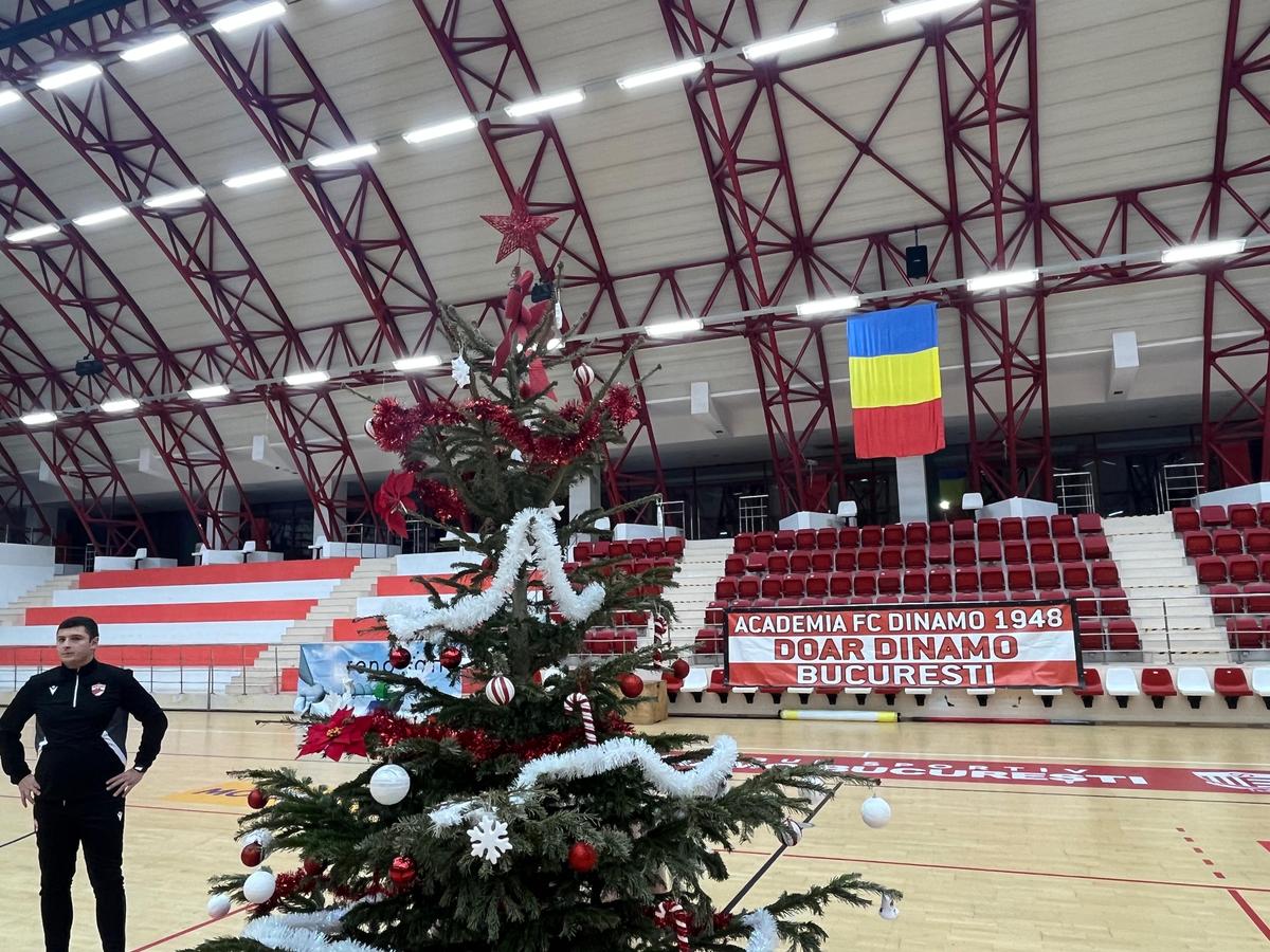 Academie Dinamo, brad Sala Polivalentă