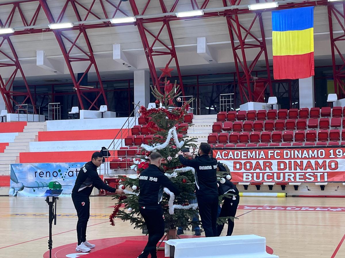 Academie Dinamo, brad Sala Polivalentă