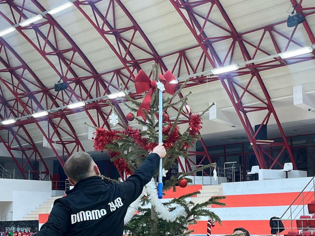 Academie Dinamo, brad Sala Polivalentă