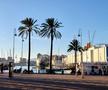 3 detalii din „Genoa mea”, cum a numit-o Dan Șucu » Reporterii Gazetei au luat pulsul orașului: primul impact, real, din stradă, după preluarea clubului italian