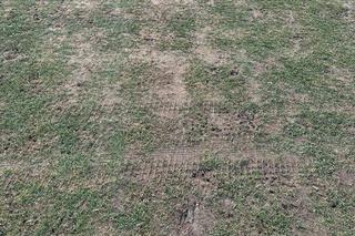 Imagini-șoc înaintea duelului pentru play-off în Superliga