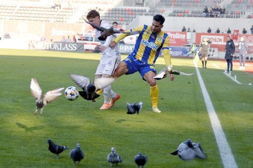 Hermannstadt - Petrolul // FOTO: Sport Pictures