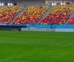 Cum arată gazonul de la Arena Națională » MM Stoica a postat imagini înainte de FCSB - UTA