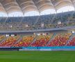 Cum arată gazonul de la Arena Națională