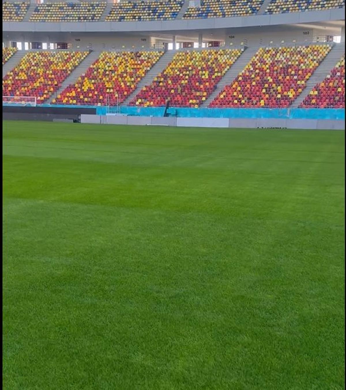 Cum arată gazonul de la Arena Națională » MM Stoica a postat imagini înainte de FCSB - UTA