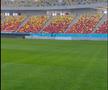 Cum arată gazonul de la Arena Națională » MM Stoica a postat imagini înainte de FCSB - UTA