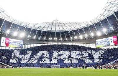 O peluză pentru King Kane! Scenografia impresionată realizată de fanii lui Tottenham