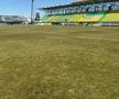 FC Argeș - Farul, imagini înaintea partidei de la Mioveni