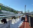 FC Argeș - Farul, imagini înaintea partidei de la Mioveni