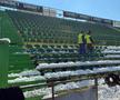 FC Argeș - Farul, imagini înaintea partidei de la Mioveni