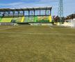 FC Argeș - Farul, imagini înaintea partidei de la Mioveni