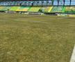 FC Argeș - Farul, imagini înaintea partidei de la Mioveni