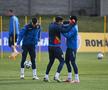 Adrian Mutu are o mare dilemă înaintea debutului la Euro 2021! 2 jucători pentru un post vital