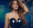 Shakira (foto: Instagram)