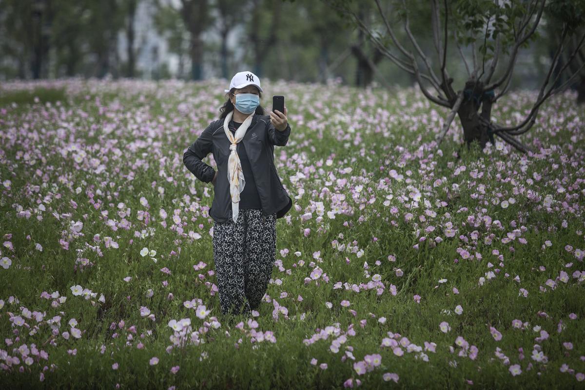 Coronavirus 4